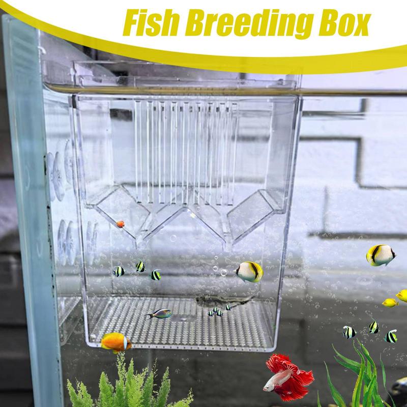 Aquarium Fish Guppy - Aquarium Fish Breeding Box Durable Fish