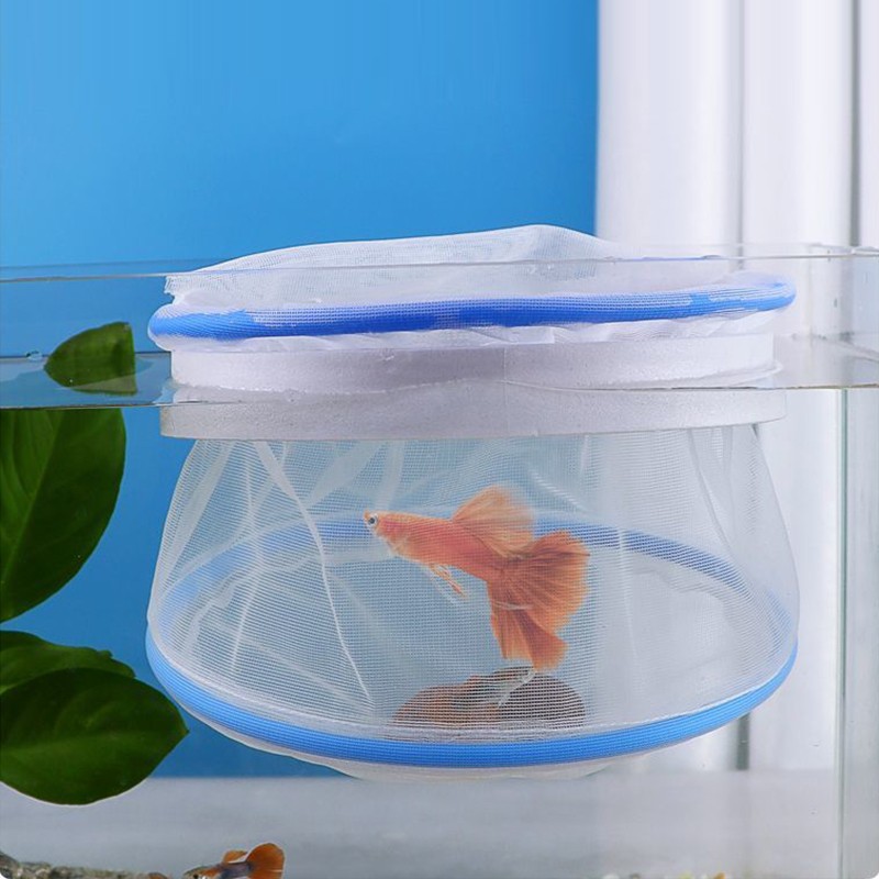 Aquarium Fish Guppy - 5pcs/set Clamshell Floating Fish Net Ventilated