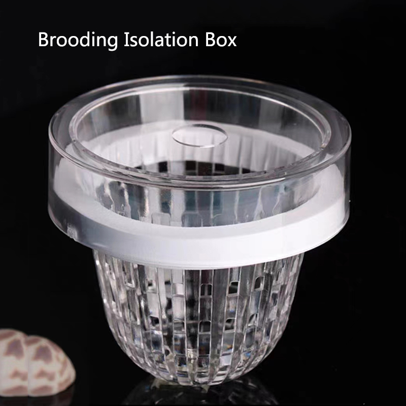 Aquarium Fish Guppy - Acrylic Floating Fish Breeding Isolation Box