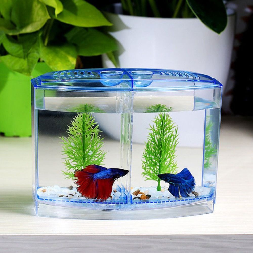 Aquarium Fish Guppy - Transparent Betta Fish Tank, Double-grid Rhombus