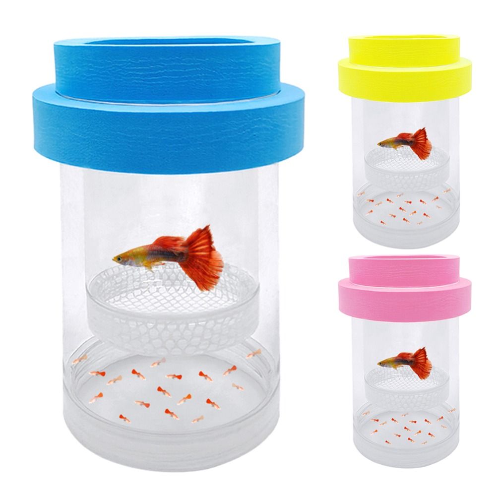Aquarium Fish Guppy - Plastic Mesh Floating Hatching Box Transparent