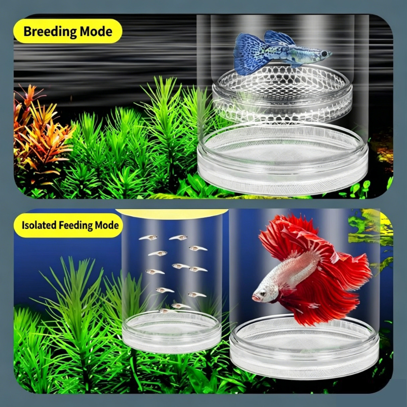 Aquarium Fish Guppy - Transparent Floating Aquarium Hatch Box, Multifunctional
