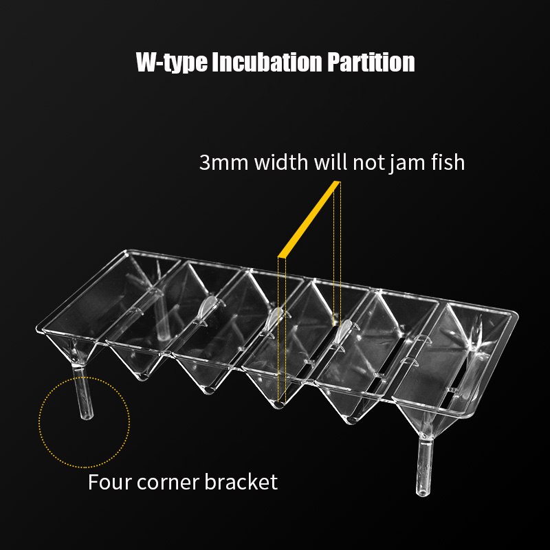 Clear Aquarium Fish Tank Isola - Aquarium Fish Guppy recension och pris