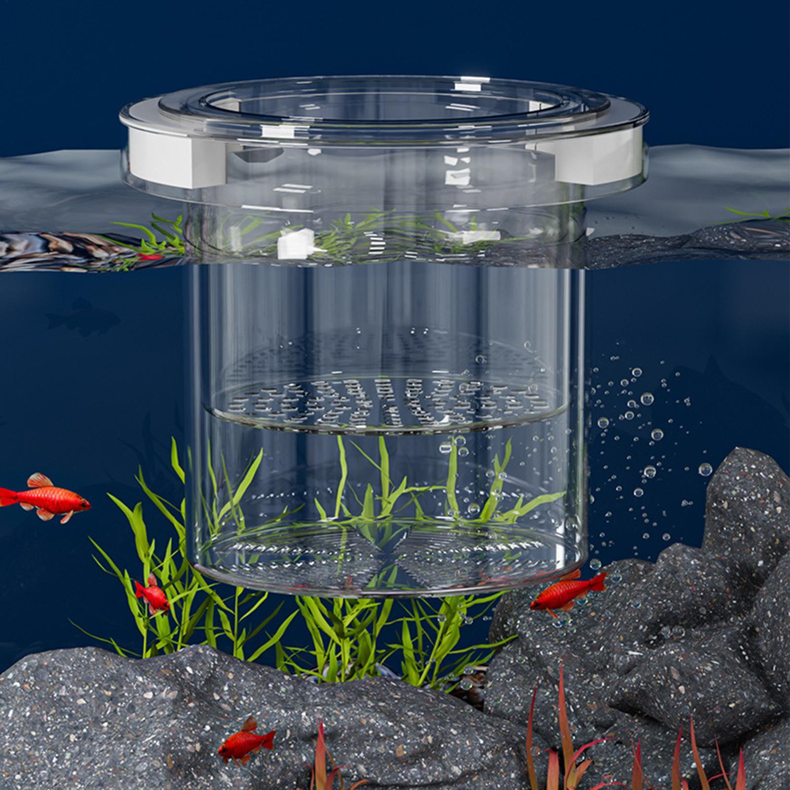 Floating Fish Breeding Isolati - Aquarium Fish Guppy recension och pris