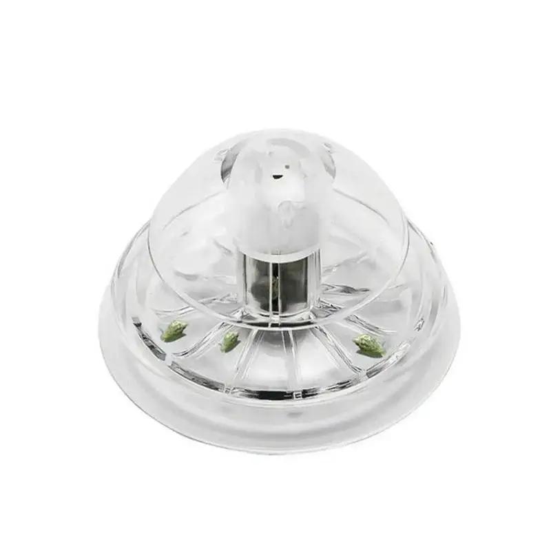 2026 New 6/8CM Clear Plastic S - Aquarium Fish Photography recension och pris