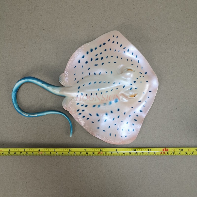 Aquarium Animal Model Toy Unde - Aquarium Fish Market recension och pris