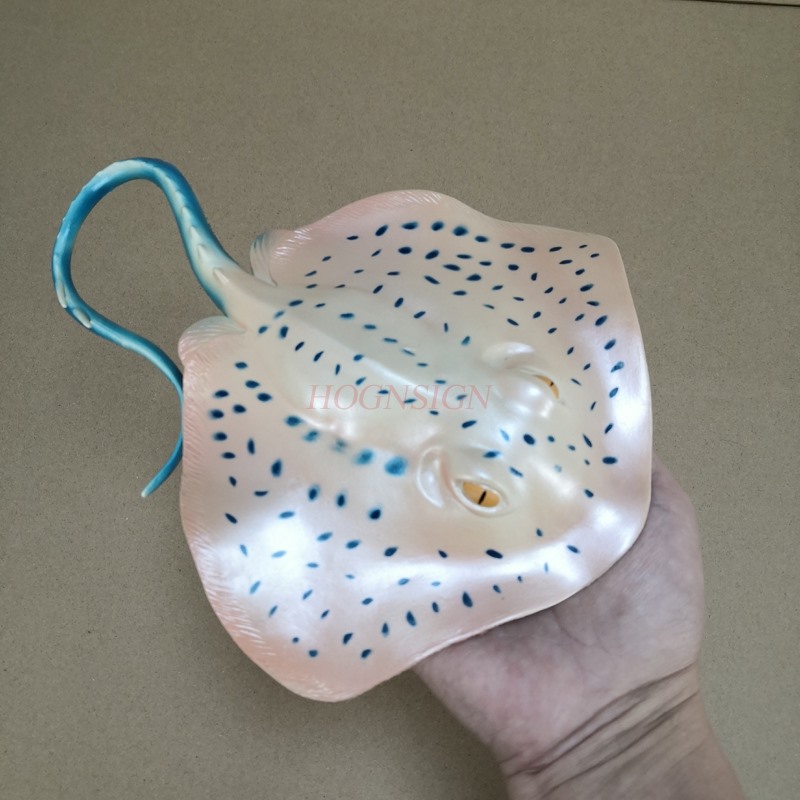 Aquarium Animal Model Toy Unde - Aquarium Fish Market recension och pris