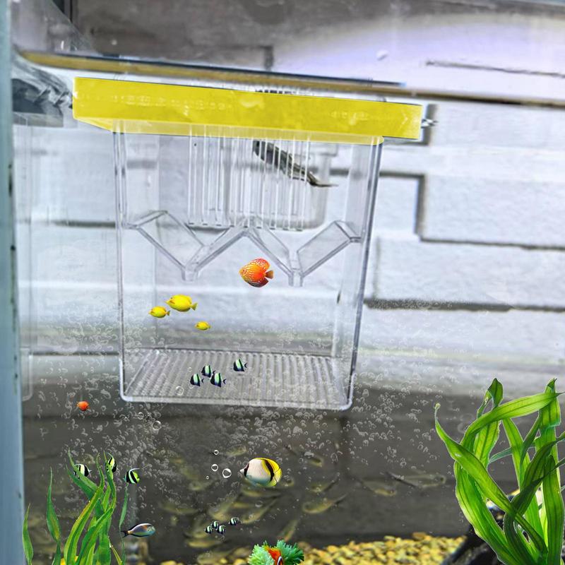 Aquarium Fish Breeding Box Dur - Aquarium Fish Guppy recension och pris
