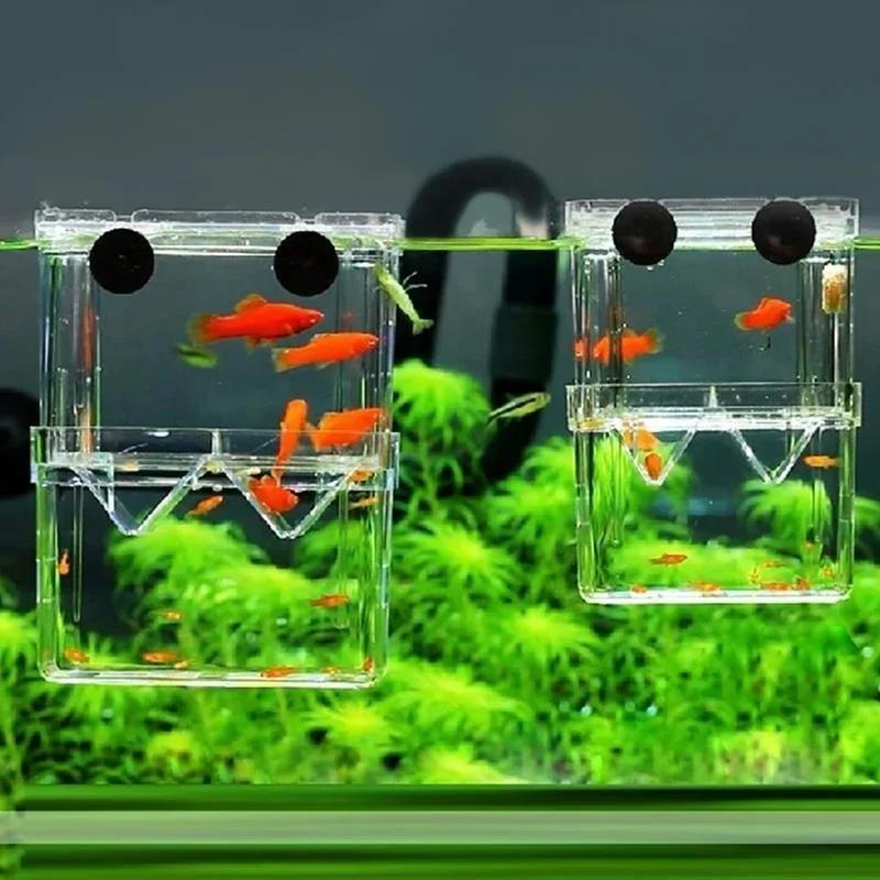 Transparent Fish Aquarium High - Aquarium Fish Guppy recension och pris