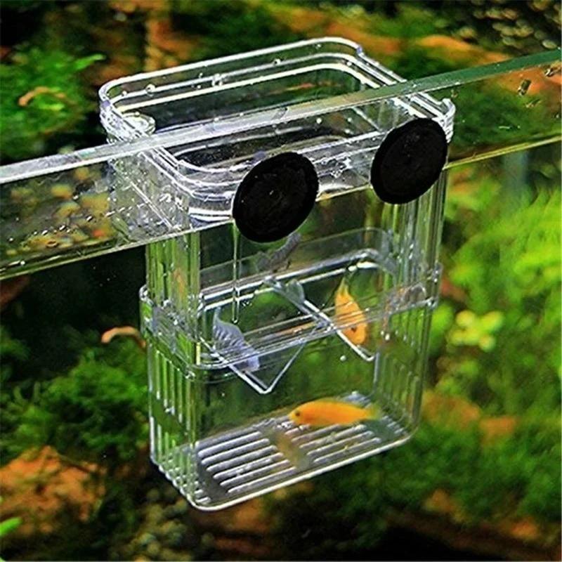 Transparent Fish Aquarium High - Aquarium Fish Guppy recension och pris
