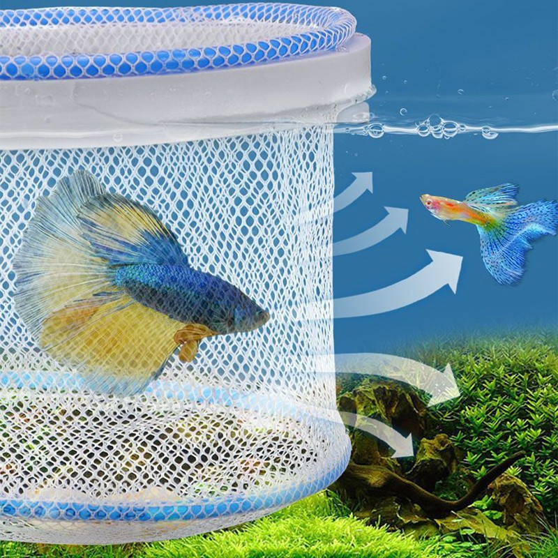 5pcs/set Clamshell Floating Fi - Aquarium Fish Guppy recension och pris