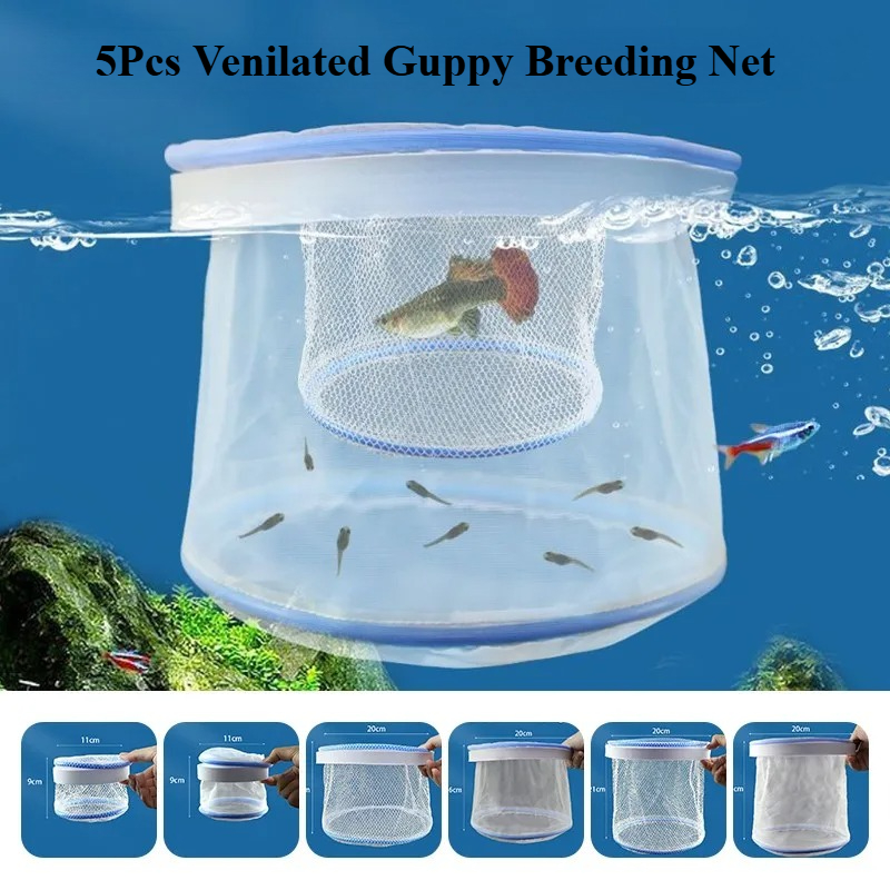 5pcs/set Clamshell Floating Fi - Aquarium Fish Guppy recension och pris