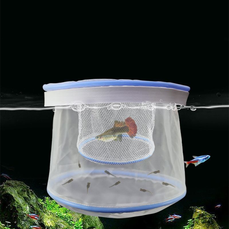 5pcs/set Clamshell Floating Fi - Aquarium Fish Guppy recension och pris