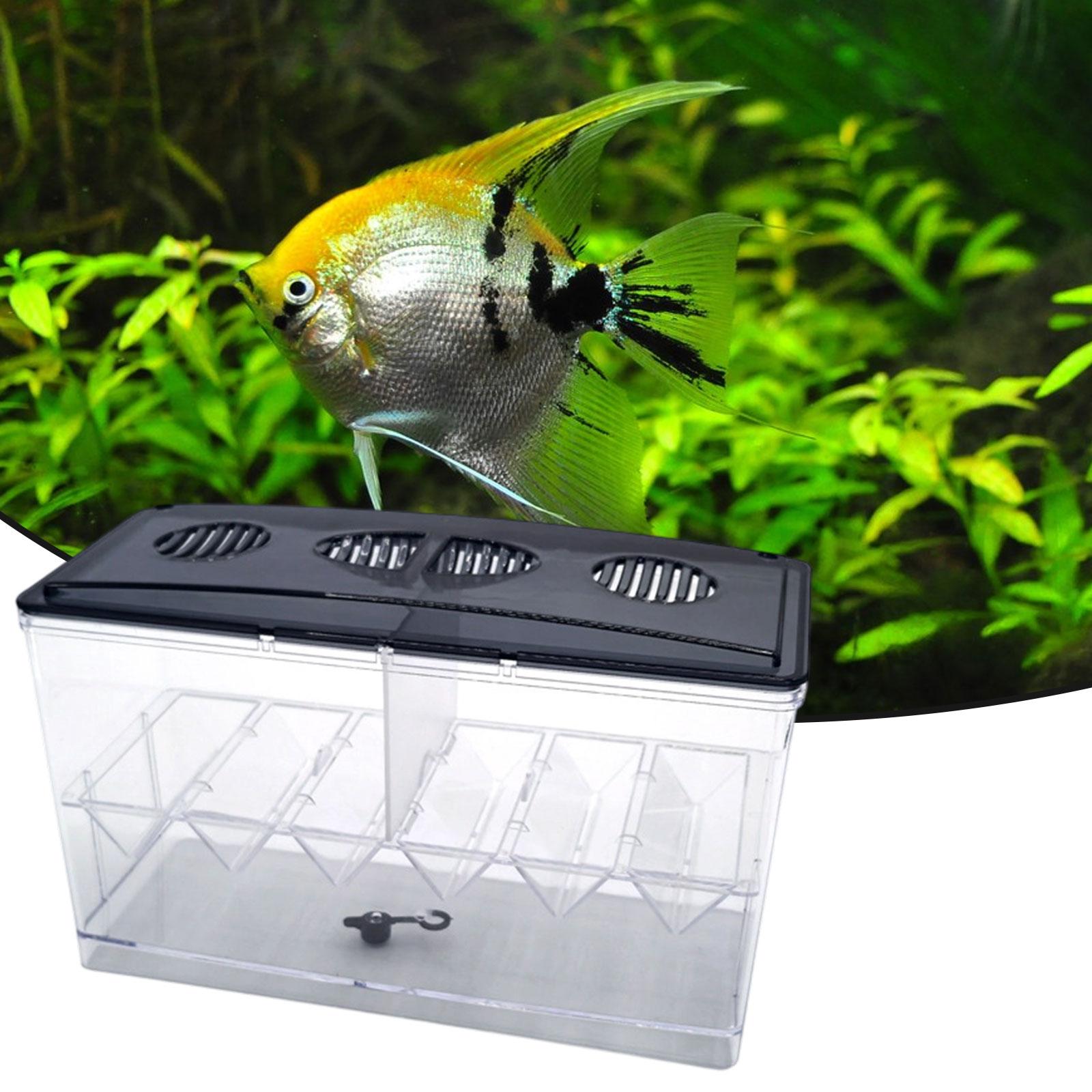 Floating Fish Breeding Isolati - Aquarium Fish Guppy recension och pris