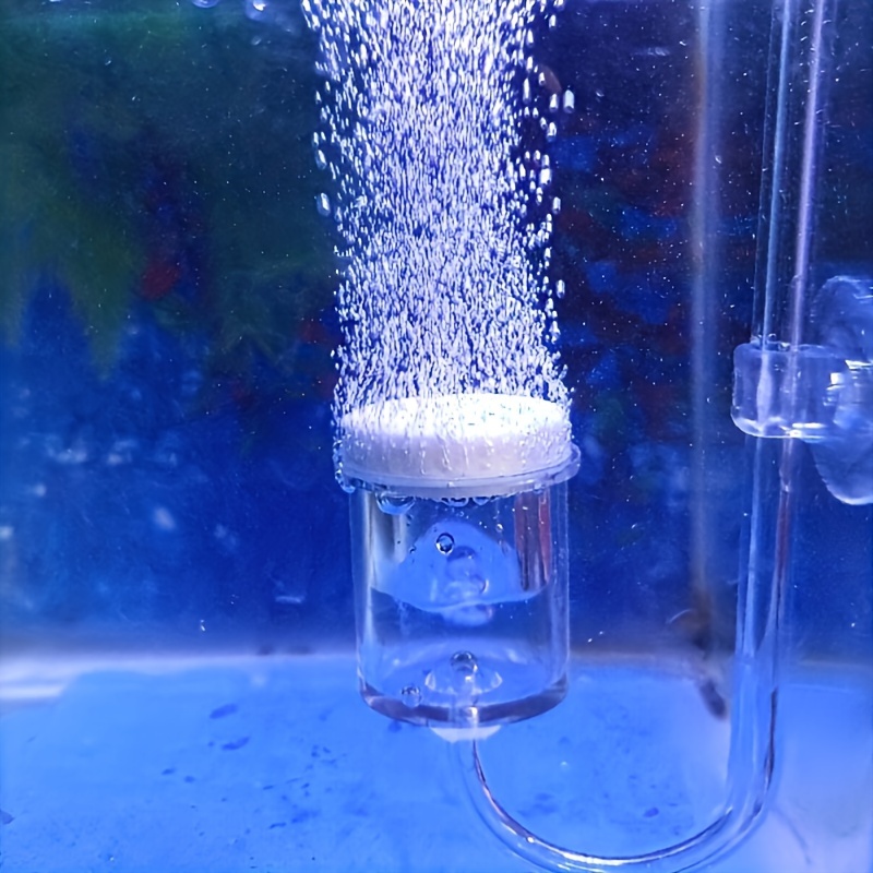 Aquarium Glass CO2 Atomizer Di - Aquarium Fish Photography recension och pris
