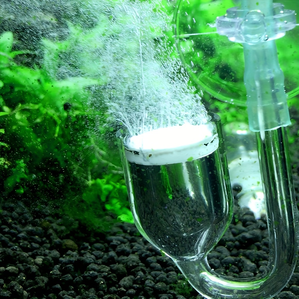 Aquarium Glass CO2 Atomizer Di - Aquarium Fish Photography recension och pris