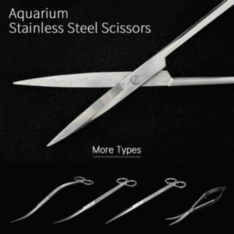 Week Aqua Stainless Steel Aqua - Aquarium Fish Photography recension och pris