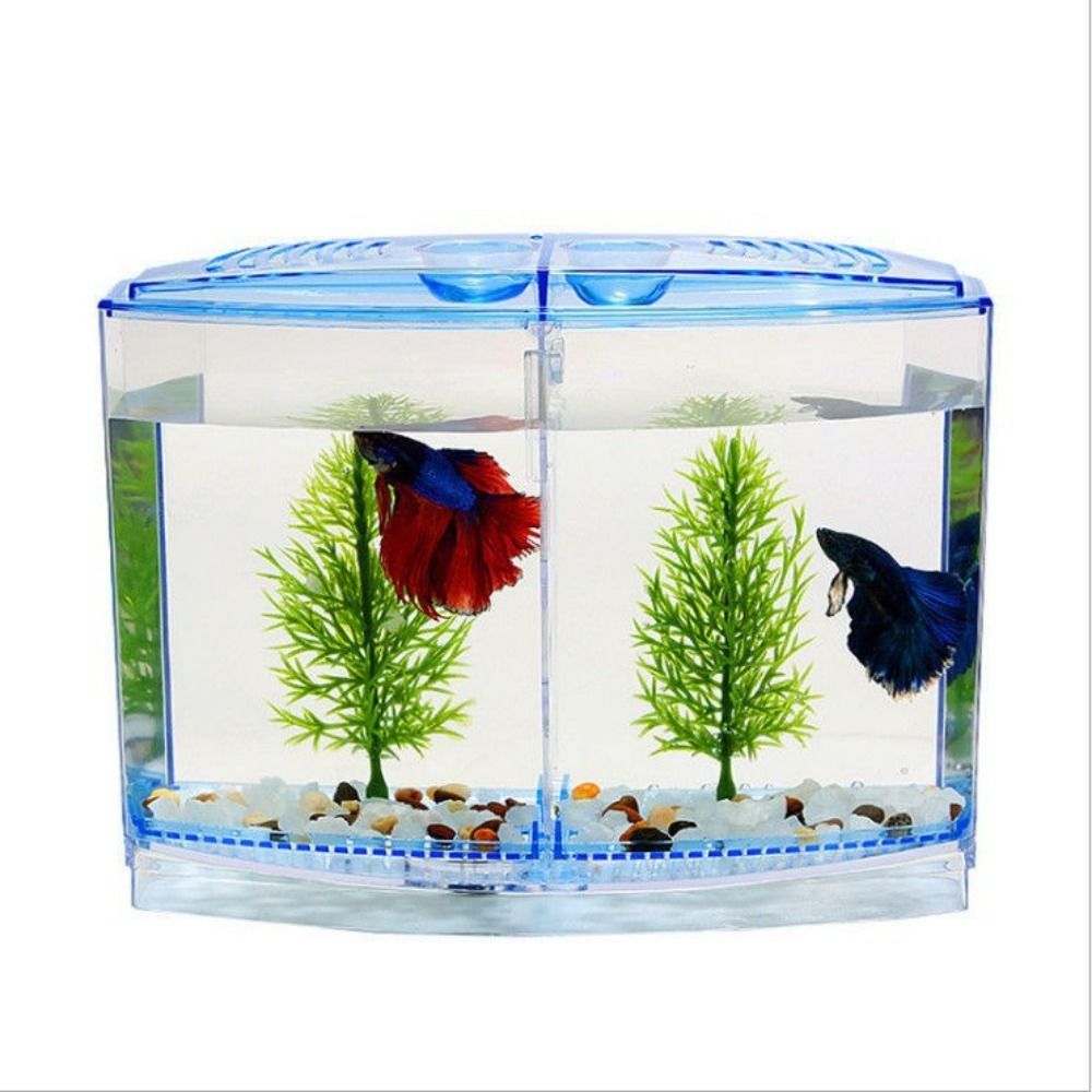 Transparent Betta Fish Tank, D - Aquarium Fish Guppy recension och pris