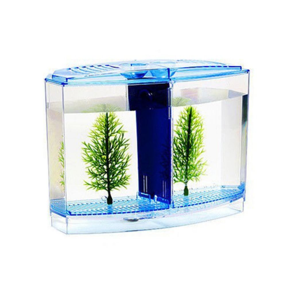 Transparent Betta Fish Tank, D - Aquarium Fish Guppy recension och pris
