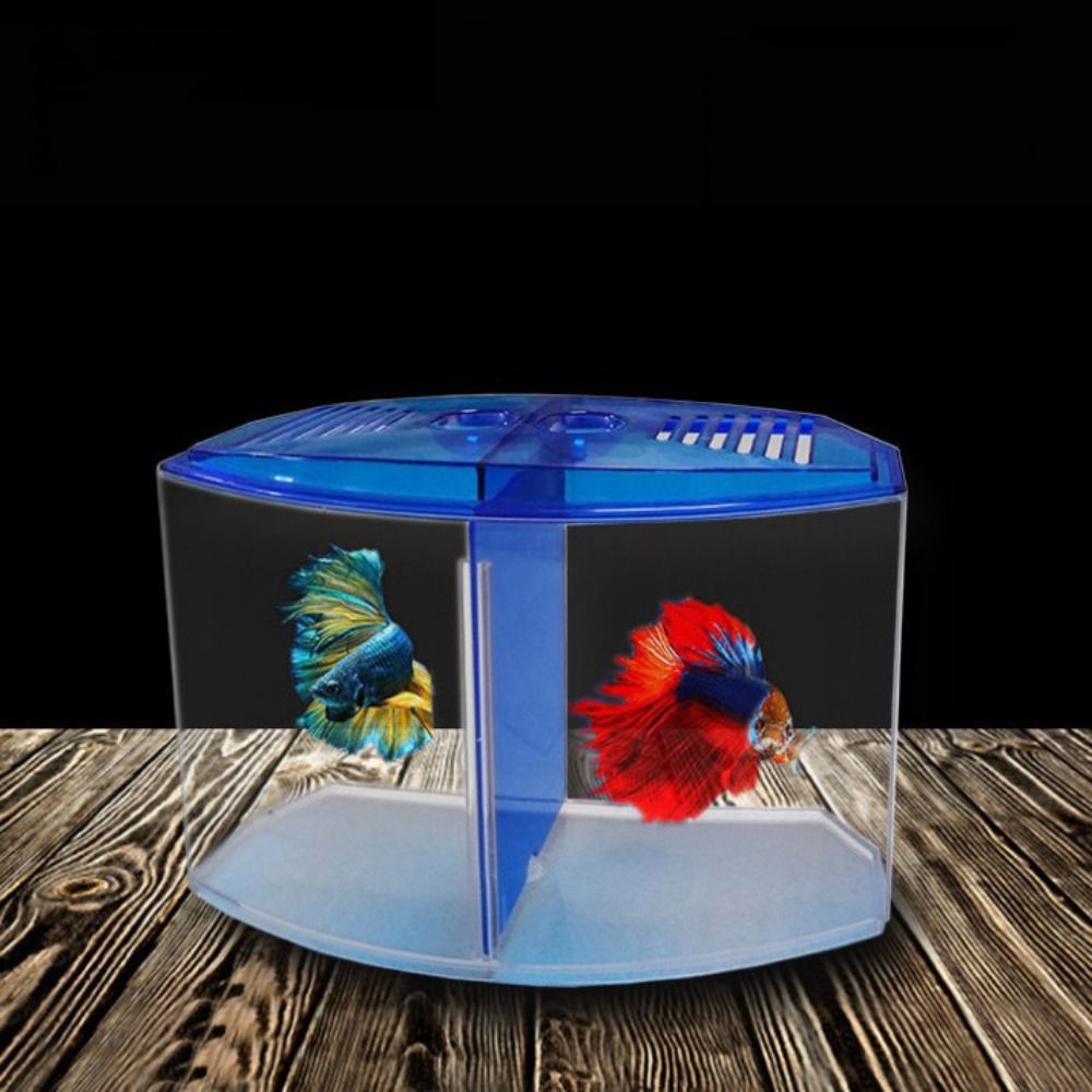 Transparent Betta Fish Tank, D - Aquarium Fish Guppy recension och pris