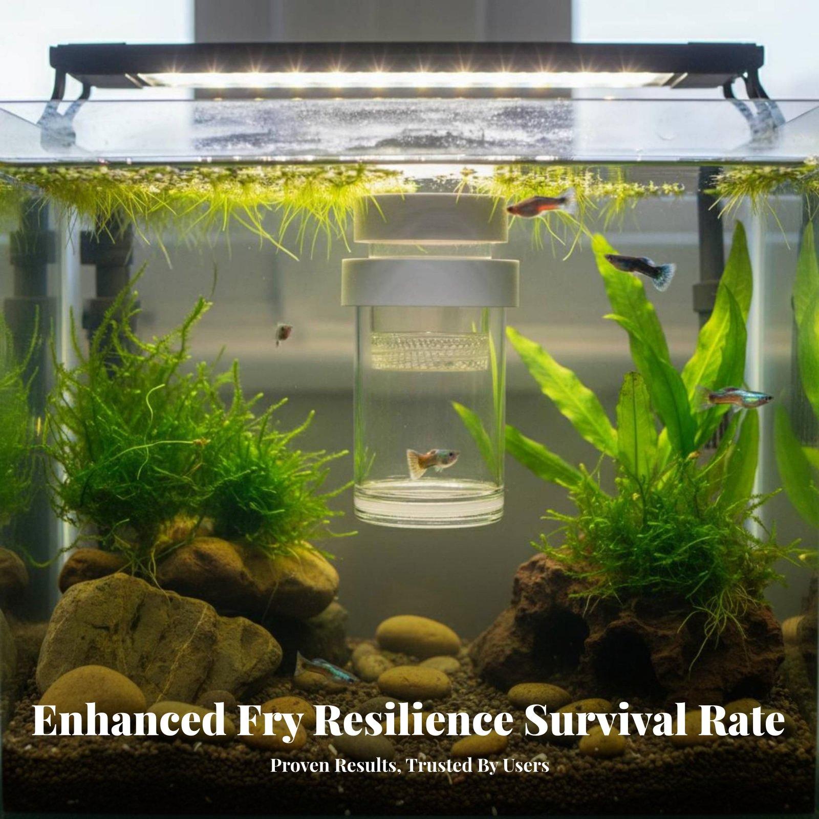 Plastic Fish Hatchery Box for  - Aquarium Fish Guppy recension och pris