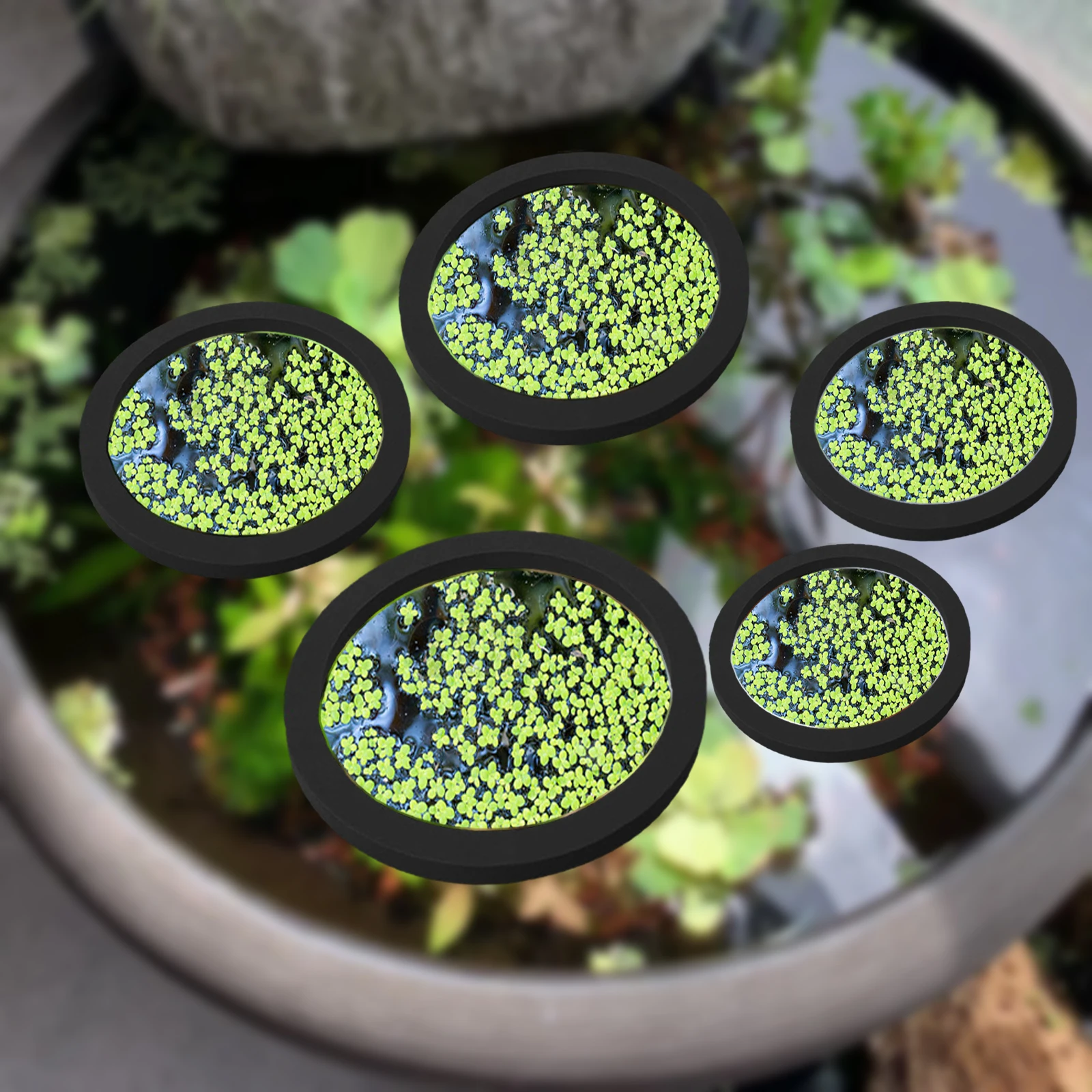 5Pcs EVA Fish Feeding Ring Aqu - Aquarium Fish Photography recension och pris