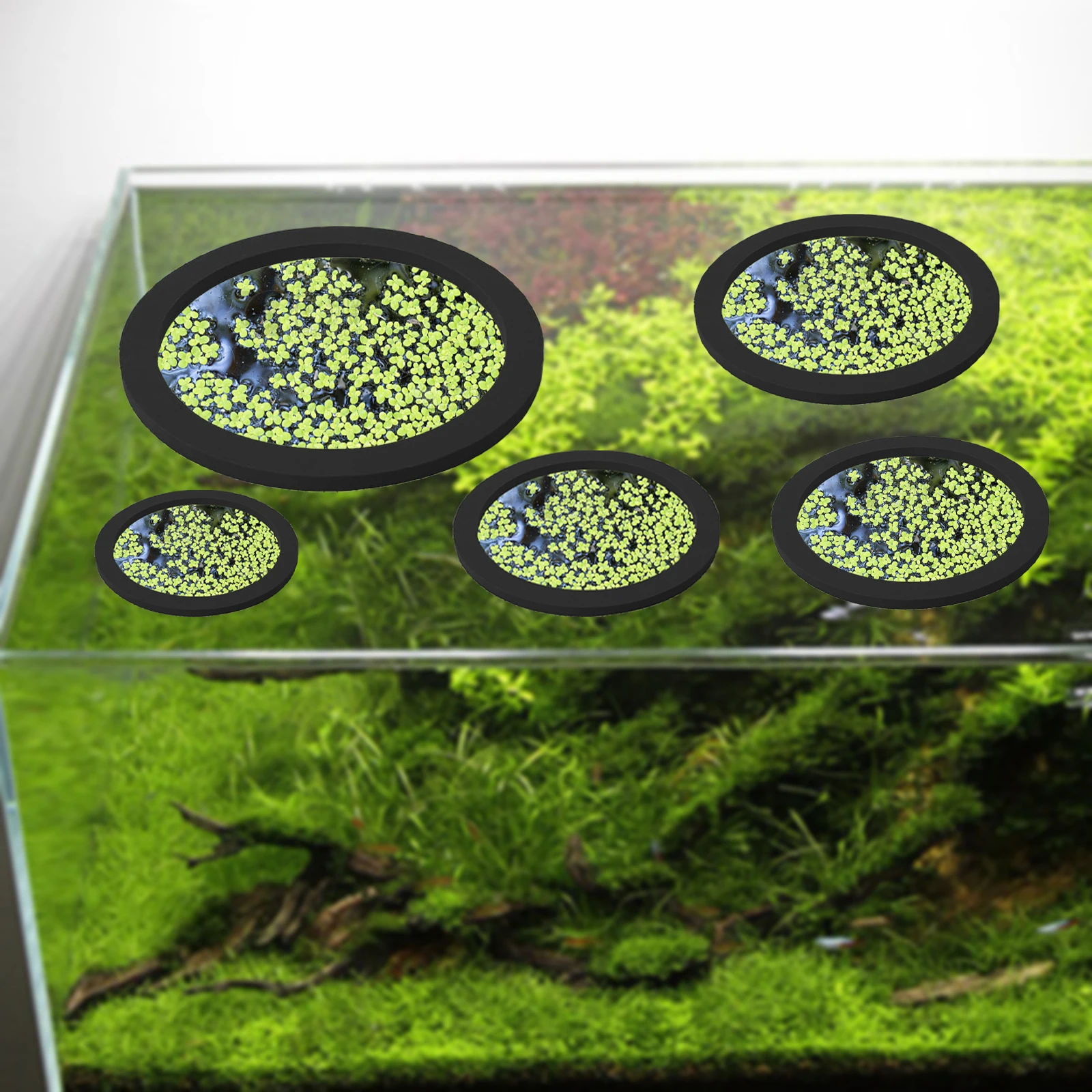 5Pcs EVA Fish Feeding Ring Aqu - Aquarium Fish Photography recension och pris