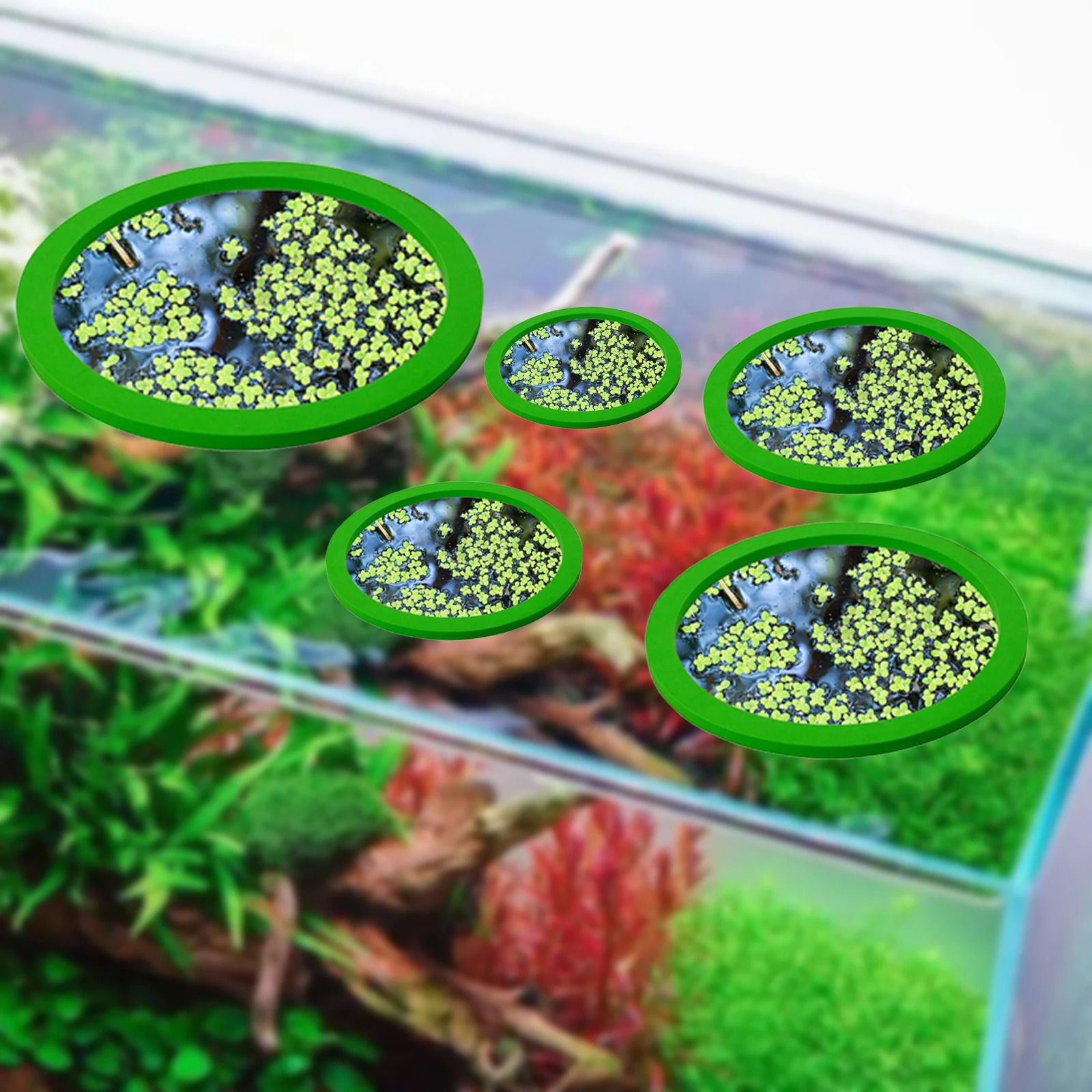 5Pcs EVA Fish Feeding Ring Aqu - Aquarium Fish Photography recension och pris