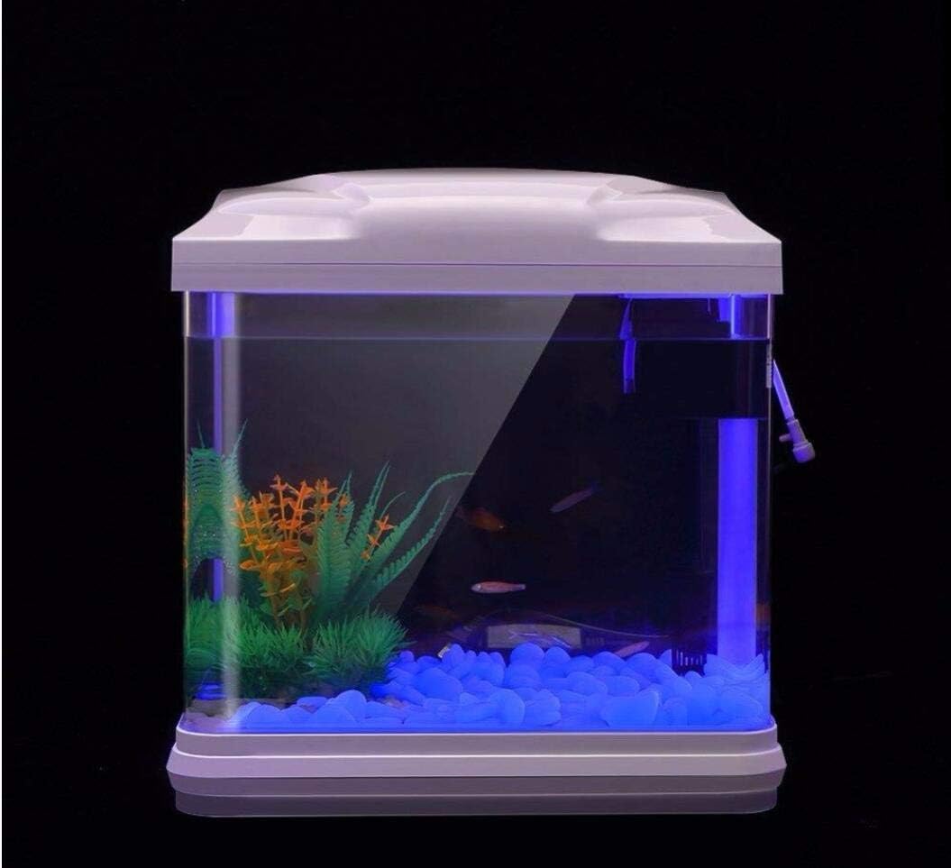 Fish Tank Rocks Glow Blue Pebb - Aquarium Fish Photography recension och pris