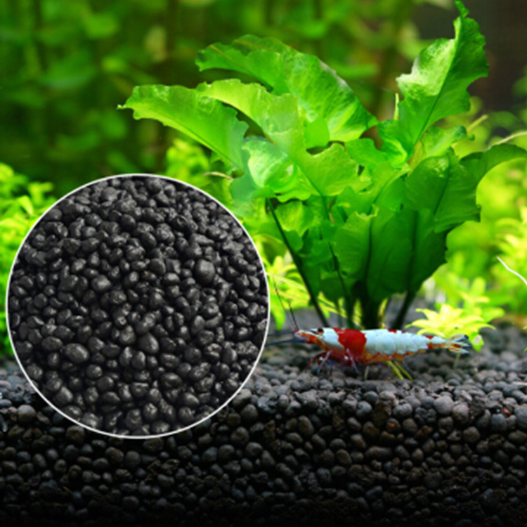Aquarium Plant Seeds Soil Fish - Aquarium Fish Photography recension och pris