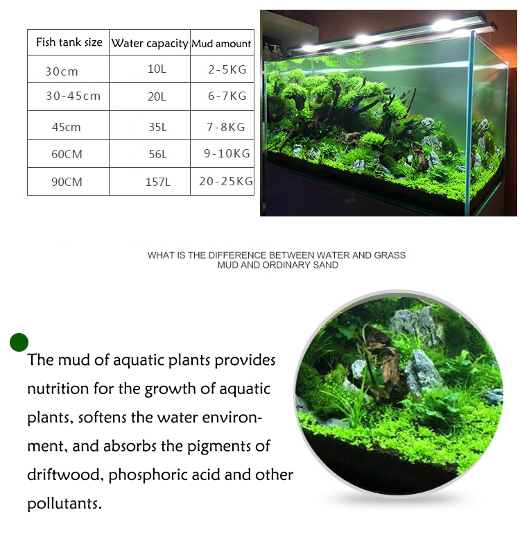 Aquarium Plant Seeds Soil Fish - Aquarium Fish Photography recension och pris