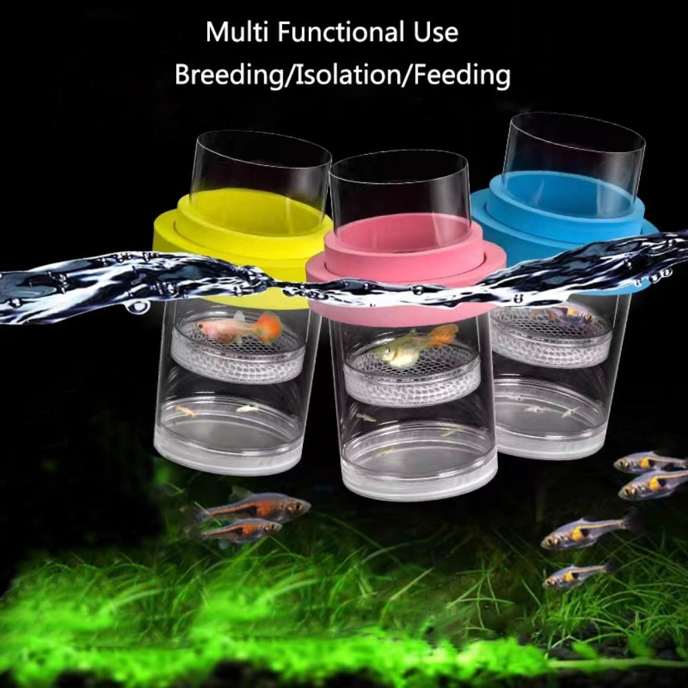 Plastic Mesh Floating Hatching - Aquarium Fish Guppy recension och pris
