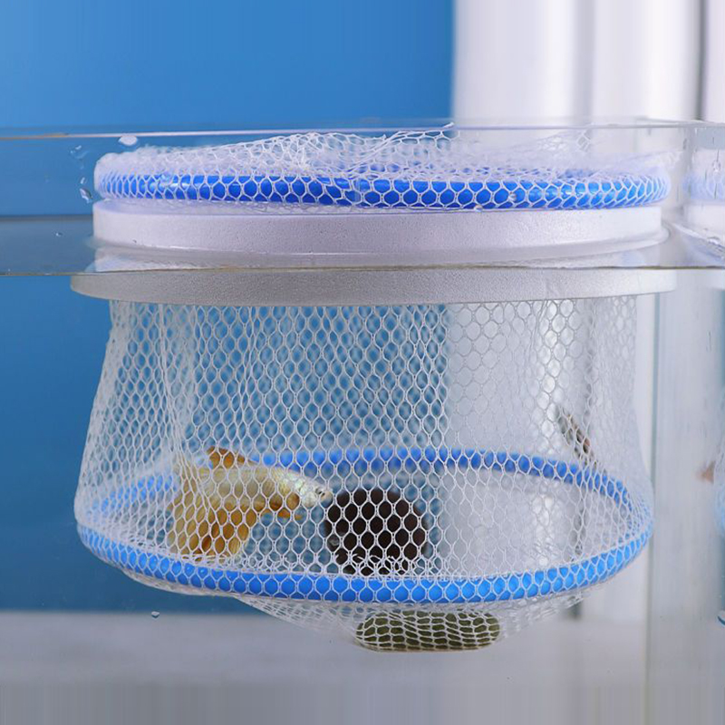 1pc Ventilated Guppy Breeding  - Aquarium Fish Guppy recension och pris