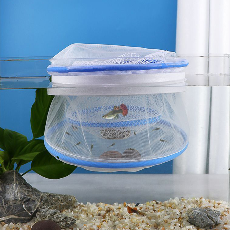 1pc Ventilated Guppy Breeding  - Aquarium Fish Guppy recension och pris