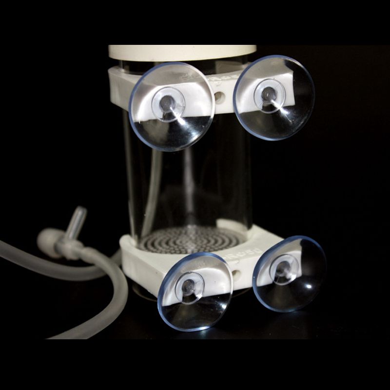 Aquarium Cichlids Tumbler Fish - Aquarium Fish Usa recension och pris
