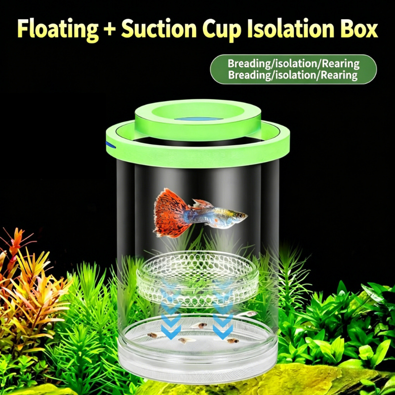 Transparent Floating Aquarium  - Aquarium Fish Guppy recension och pris