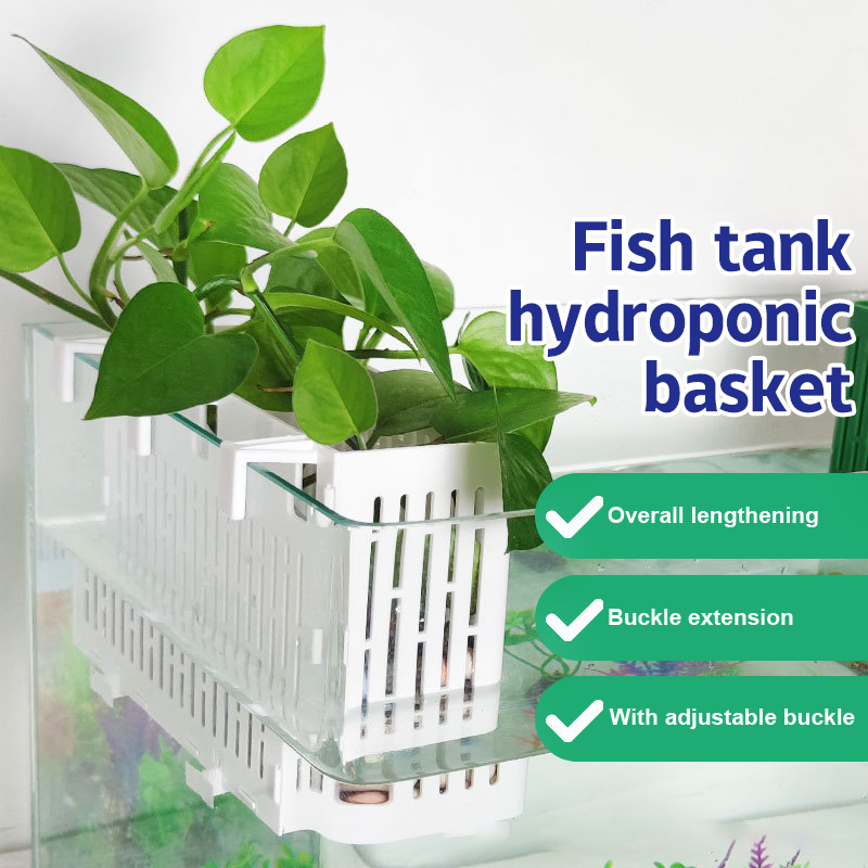 【F】Fish Tank Hanging Planter A - Aquarium Fish Photography recension och pris