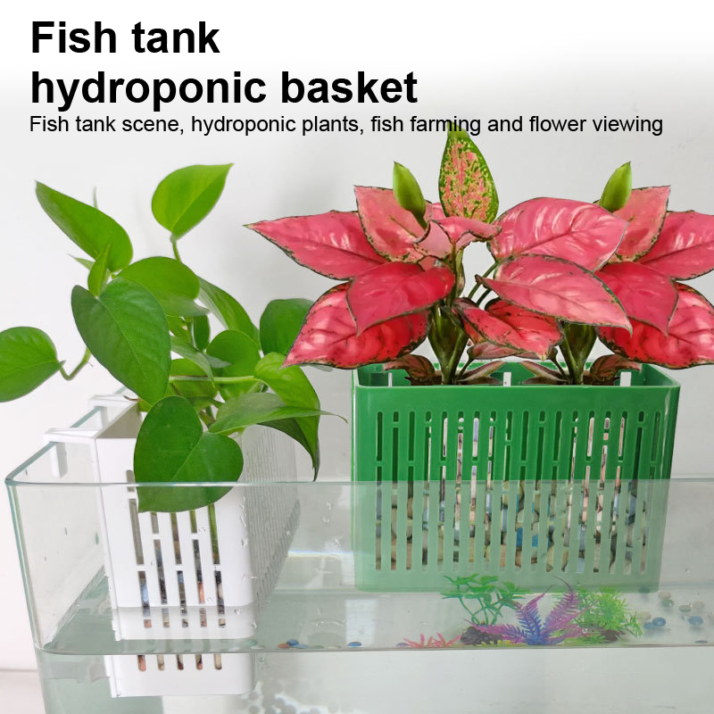 【F】Fish Tank Hanging Planter A - Aquarium Fish Photography recension och pris