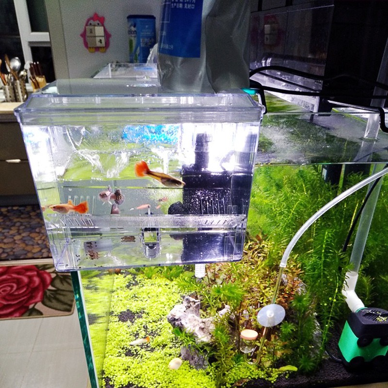220V Aquarium Hanging Breeding - Aquarium Fish Guppy recension och pris