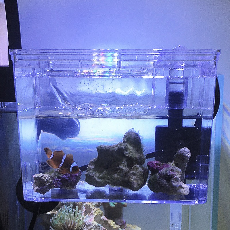 220V Aquarium Hanging Breeding - Aquarium Fish Guppy recension och pris